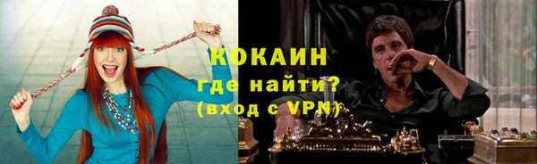 spice Ельня