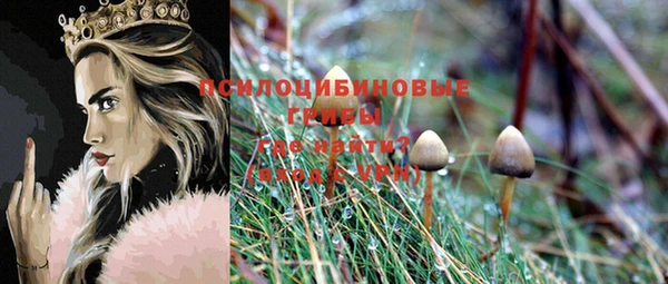 прущие грибы Алексин